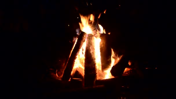 Przy Ognisku Odkryty Camping Ogień Płomień Wideo Zbliżenie Tła Bonfire — Wideo stockowe