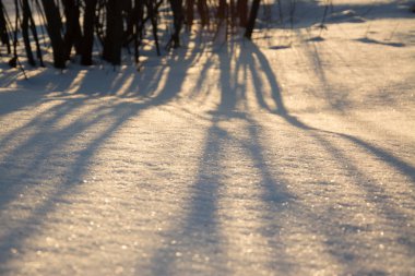 Rusya Sibirya Doğa Kış buz soğuk köy orman Tayga kar yolu yol ev sessiz Köprü Nehri buz bankalar yansıma gün akşam manzara kış