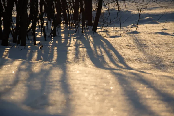 Rusya Sibirya Doğa Kış buz soğuk köy orman Tayga kar yolu yol ev sessiz Köprü Nehri buz bankalar yansıma gün akşam manzara kış