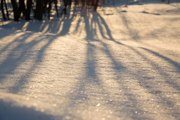 Rusya Sibirya Doğa Kış buz soğuk köy orman Tayga kar yolu yol ev sessiz Köprü Nehri buz bankalar yansıma gün akşam manzara kış