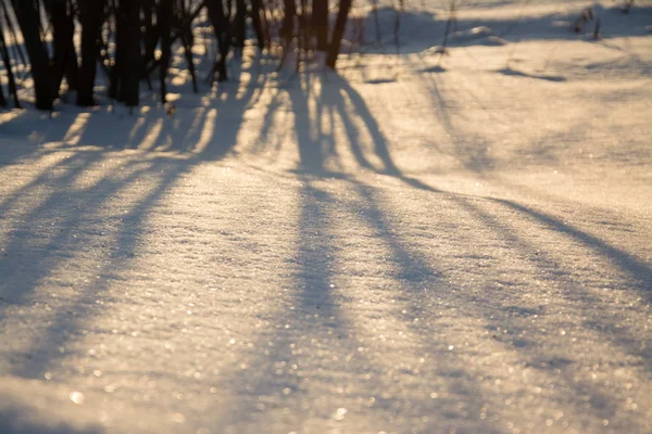 Rusya Sibirya Doğa Kış buz soğuk köy orman Tayga kar yolu yol ev sessiz Köprü Nehri buz bankalar yansıma gün akşam manzara kış