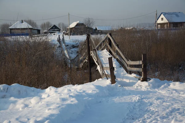 Rosja Syberia Natura Zima Mróz Zimno Wieś Lasu Tajga Śniegu — Zdjęcie stockowe