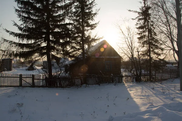 Rusya Sibirya Doğa Kış Buz Soğuk Köy Orman Tayga Kar — Stok fotoğraf