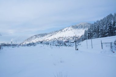 Tayga kar orman patika yolun oldukça Rusya Sibirya Doğa Kış buz soğuk Köprü Nehri buz sahil kış manzara akşam gün tatil doğa güzel