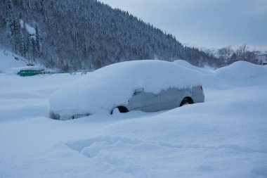 Tayga kar orman patika yolun oldukça Rusya Sibirya Doğa Kış buz soğuk Köprü Nehri buz sahil kış manzara akşam gün tatil doğa güzel