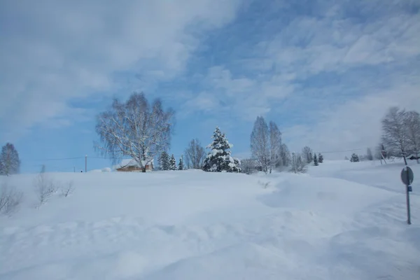 Russia Siberia Natura Inverno Gelo Freddo Taiga Foresta Neve Sentiero — Foto Stock