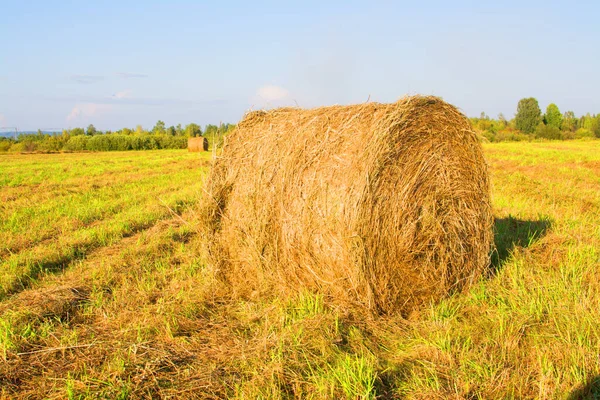 Hay Bale Agriculture Field Sky Rural Nature Farm Land Stock Picture