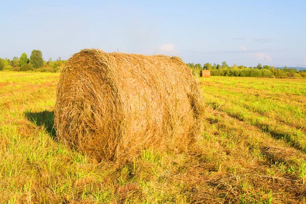Hay Bale Agriculture Field Sky Rural Nature Farm Land Stock Image