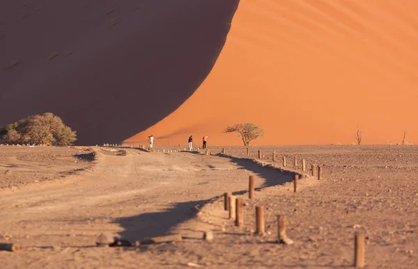 Słońce i cień strzał z wydmy 45 w Namibii — Zdjęcie stockowe