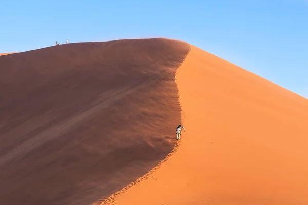 나미비아의 모래 언덕 45의 태양과 그림자 샷 — 스톡 사진
