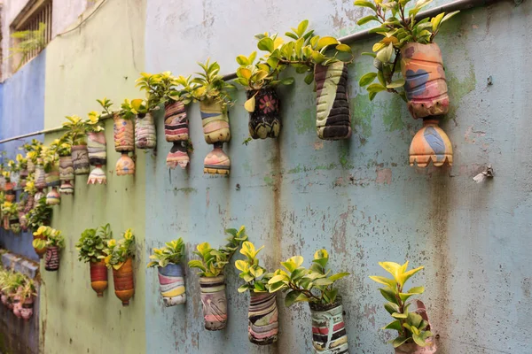 Malang, Endonezya'da askıda, saksı bitkileri sırası.