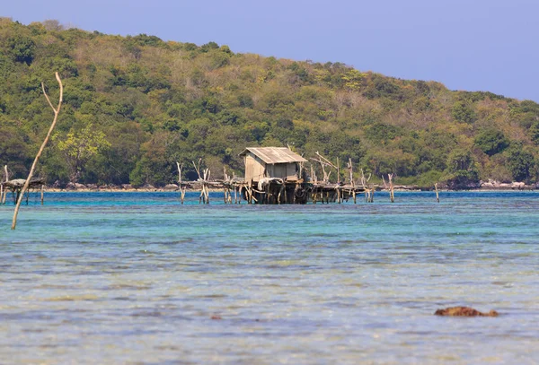 Karimunjawa,Java, Endonezya'nın el değmemiş kıyılarında küçük balıkçı kulübesi