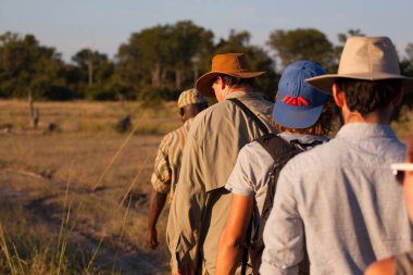 Güney Luangwa Milli Parkı, Zambiya, Nisan 27 2015 - 4wd jeep safari yanı sıra, Afrika'da yaban hayatı nokta için daha iyi bir yol bir bushwalk yapmaktır, ön güvenlik için ranger olduğunu.