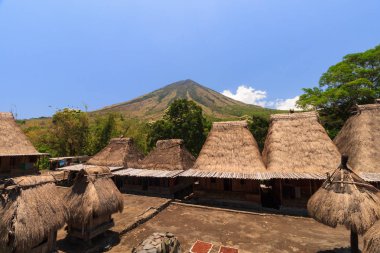 Bena geleneksel köy, Bajawa yakın, Flores, Endonezya