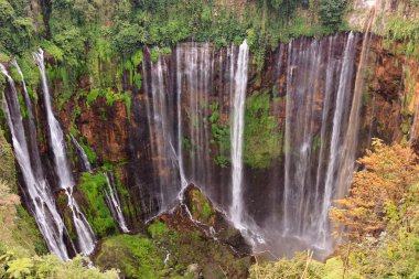 Çoban Sewu şelalesi, Malang yakınlarında, Java, Endonezya