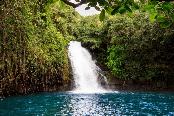 De naturskønne vandfald på den afrikanske ø Mauritius - Stock-foto