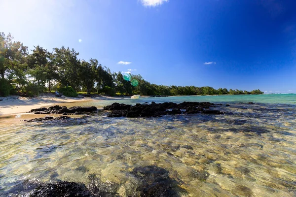 Ile aux Cerfs Island, Mauritius plajlarının manzarası