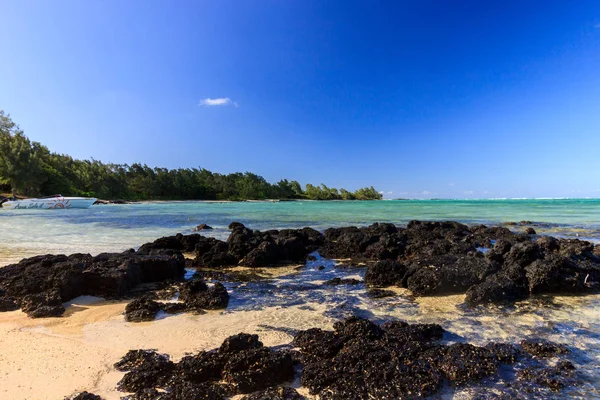 Ile aux Cerfs Island, Mauritius plajlarının manzarası
