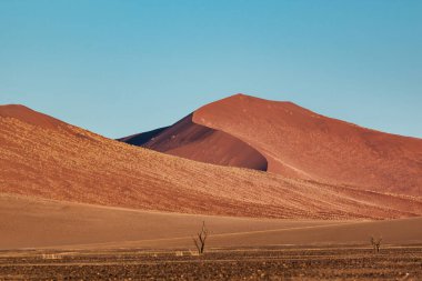 Namib Çölü, Namibya 'da günbatımında kum 45 numara.