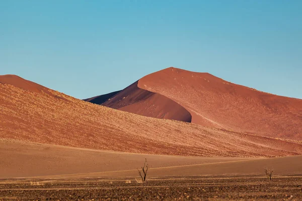 나미브사막의해 가질 무렵의 45 번째 모래 언덕 — 스톡 사진