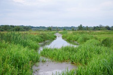 Çok güzel bir sabah, yatay, bir güzel nehir ve göl. Renkli görünümü ile çarpıcı bir gökyüzü. Tasarımı için hazır fotoğraflar
