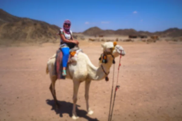 Mountain Dry Desert Camel Woman Types Egyptian Sands Safari Hurghada — Stock Photo, Image
