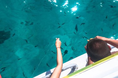 Güzel mavi deniz balık ile şeffaf yüzeyi. Okyanus balık tema arka plan için. Turizm tasarımı için hazır fotoğraf