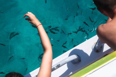 Güzel mavi deniz balık ile şeffaf yüzeyi. Okyanus balık tema arka plan için. Turizm tasarımı için hazır fotoğraf