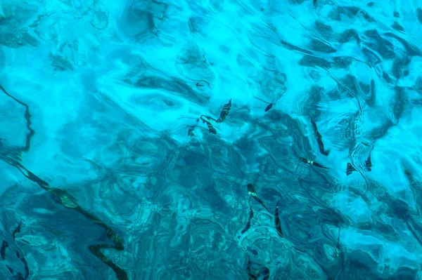 Hermosa Superficie Transparente Mar Azul Con Peces Tema Peces Oceánicos — Foto de Stock