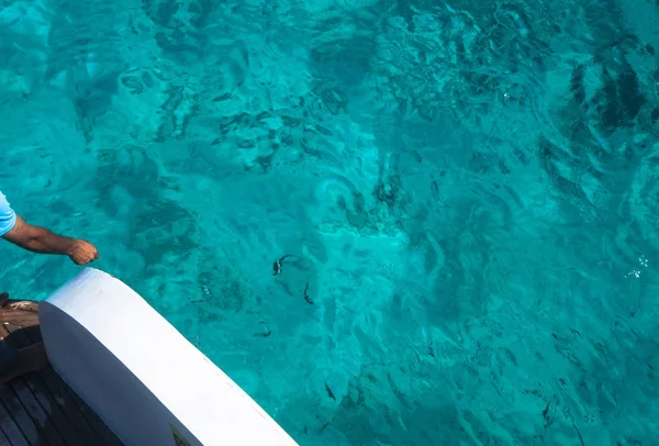 Bela Superfície Transparente Azul Mar Com Peixe Tema Peixe Oceânico — Fotografia de Stock