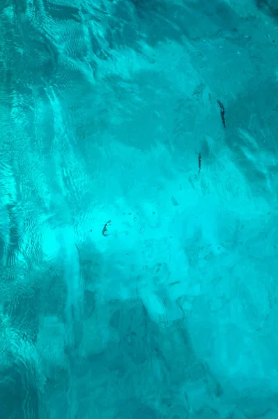 Güzel Mavi Deniz Balık Ile Şeffaf Yüzeyi Okyanus Balık Tema — Stok fotoğraf
