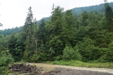 Güzel dağ nehir Avrupa Chati dünyanın bulutlu havalarda. Yağmur seli. Tasarım için stok fotoğraf