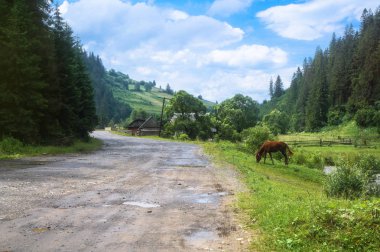 Avrupa'nın yolundan dağların manzarası. Güzel sonbaharın puslu manzara. Tasarım için stok fotoğraf