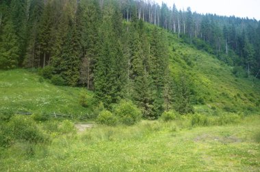 Avrupa'nın yolundan dağların manzarası. Güzel sonbaharın puslu manzara. Tasarım için stok fotoğraf