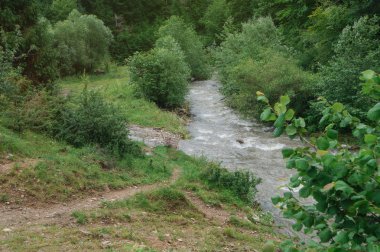 Güzel dağ nehir Avrupa Chati dünyanın bulutlu havalarda. Yağmur seli. Tasarım için stok fotoğraf