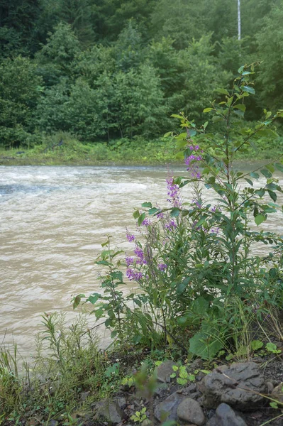 Vackra Berg Flod Molnigt Väder Europeiska Chati Världen Floden Regn — Stockfoto