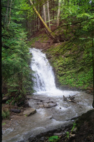 Bela Cachoeira Florestal Europa Pequeno Rivuleto Rápido Nas Montanhas Com — Fotografia de Stock