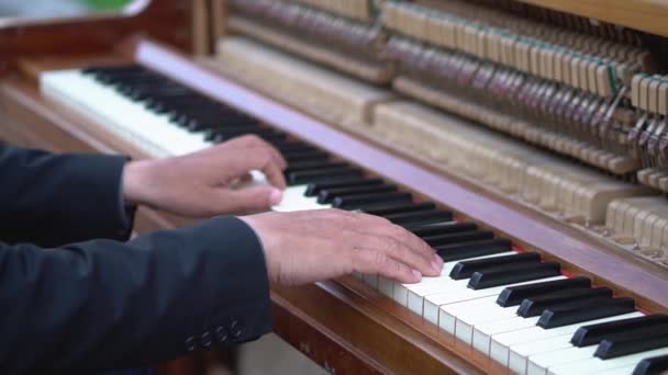 ピアノを弾くミュージシャンの手 ピアニスト ロマンチックな主題 ストック ビデオ — ストック動画