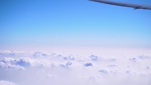 在天空和云海中飞翔 飞机门廊 景色壮观 旅游股票视频 — 图库视频影像