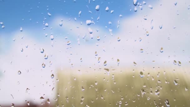 Raindrops Window Green Tree Background Spring Thunderstorm City Stock Video — Stock Video