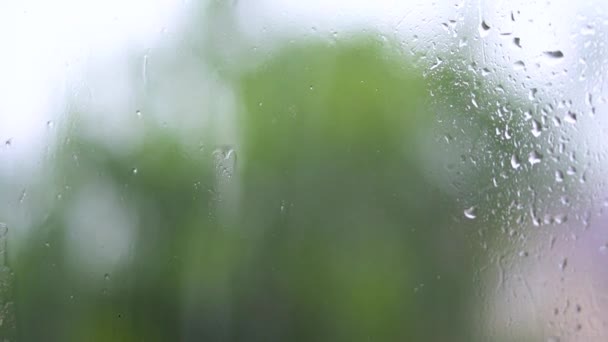 Gotas Lluvia Ventana Con Árbol Verde Fondo Una Tormenta Primavera — Vídeos de Stock