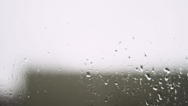 Gocce Pioggia Sulla Finestra Con Albero Verde Sullo Sfondo Tempesta — Video Stock