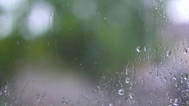 Gotas Chuva Janela Com Árvore Verde Fundo Trovoada Primavera Cidade — Vídeo de Stock