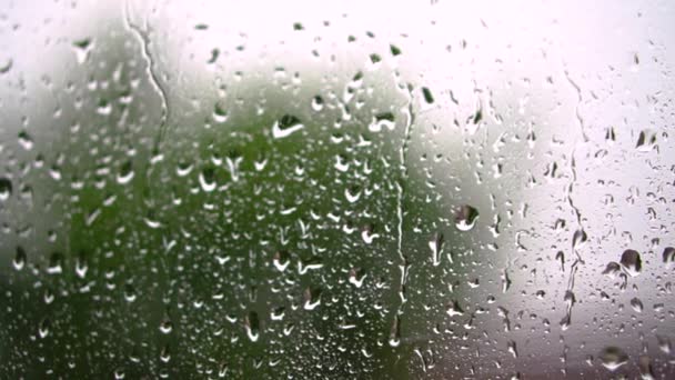 Gotas Lluvia Ventana Con Árbol Verde Fondo Una Tormenta Primavera — Vídeos de Stock