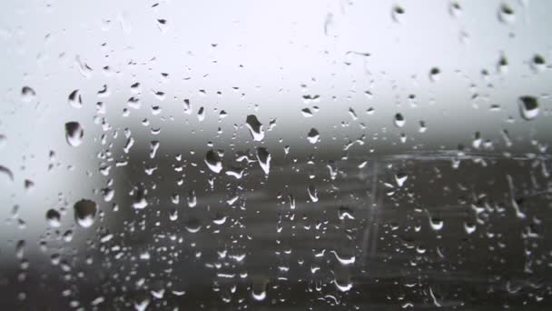 Raindrops Window Green Tree Background Spring Thunderstorm City Stock Video — Stock Video
