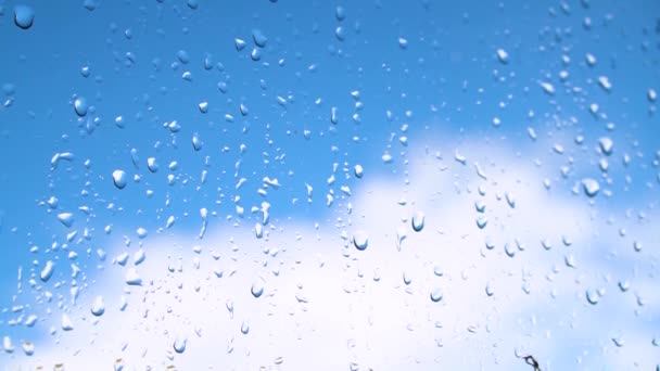 雨点落在窗口 背景是绿树 城市里的春天雷雨 股票视频 — 图库视频影像