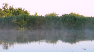 River in the morning in a beautiful fog. Beautiful lake in the evening, sunset against the backdrop of the sun