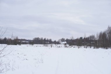 Ağaçların ve ormanın arka planında güzel bir kış manzarası. Noel ve Yeni Yıl havası. Kar yağışı ve manzara peri masallarındaki gibi.