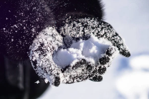 女性の手に雪の白い雪。雪片と黒手袋。クリスマスと新年のテーマ — ストック写真