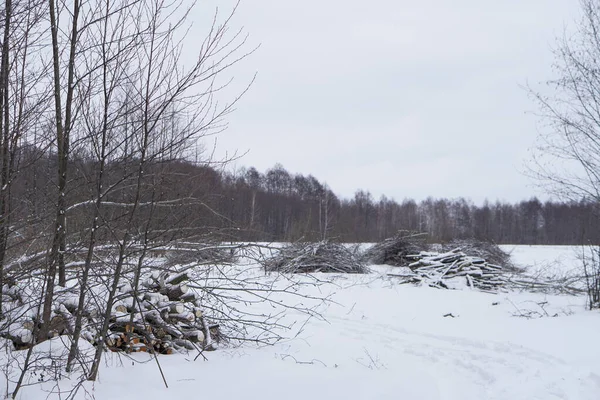 Winterlandschaft mit Brennholzernte im Wald. Waldsägewerk und schneebedeckte Baumstämme. Archivbild zur Gestaltung — Stockfoto